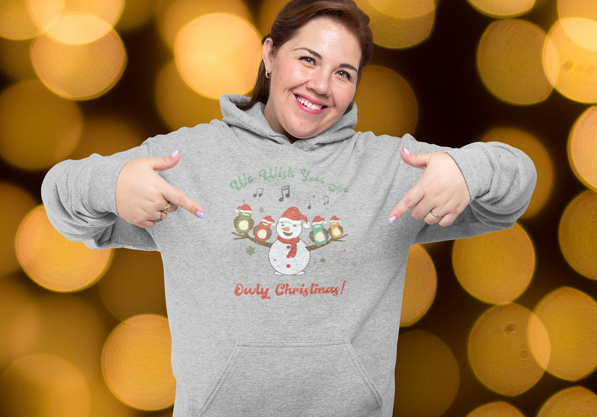 Snowman Owly Christmas Retro Christmas Hoodie, Funny Sweatshirt